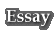 Essay